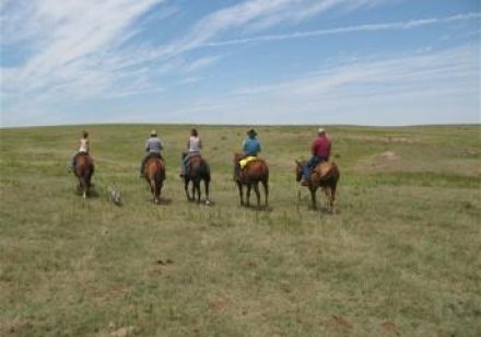 63dadaa0fcc1ef7a24b057d0_commercial-title-agency